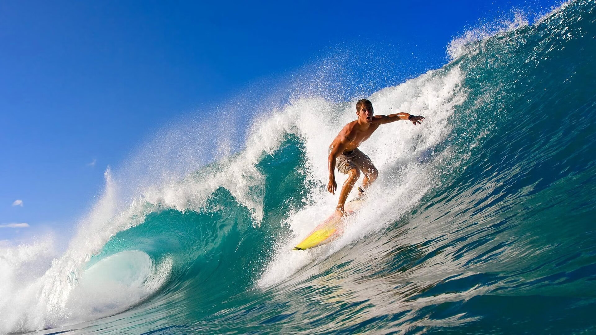 乐鱼电竞· (中国)官方网站-五大联赛奖金制度对球队竞争性的促进角色,五大联赛收益